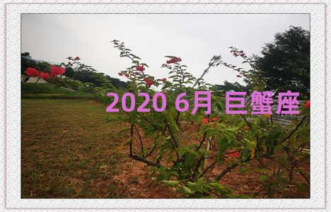 2020 6月 巨蟹座